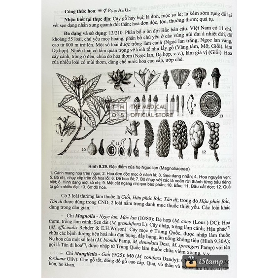 Sách - Thực Vật Dược Tmos