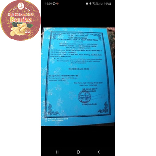 [Điều Cồ Xếp Hoa] 500Gr Hạt Điều Rang Muối Size Lớn A Cồ