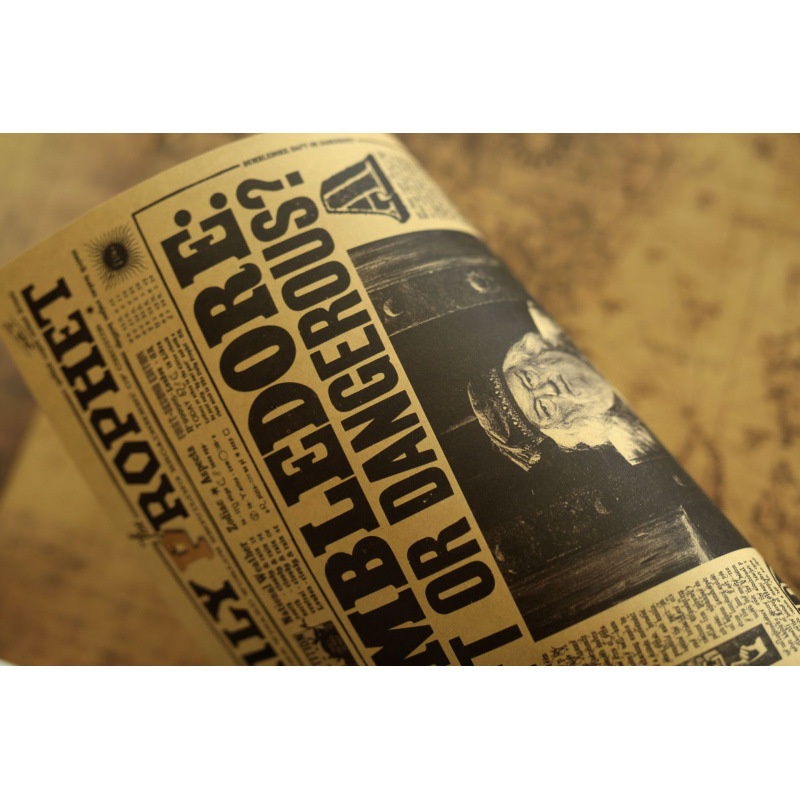 Áp Phích Hình Harry Potter Dumbledore B Type