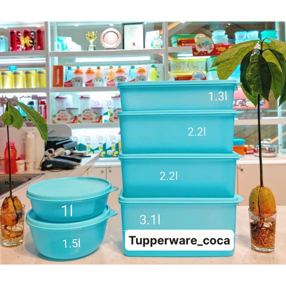 Tupperware &lt;3 Bộ hộp trữ mát Freshia Tupperware (4 hộp) + 2 Tô Modula