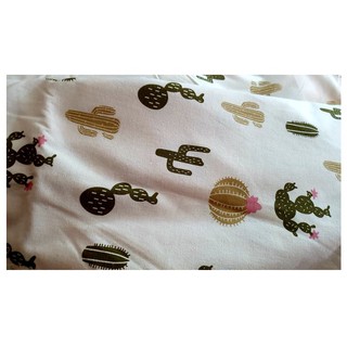 Vải bố, vải canvas mẫu xương rồng