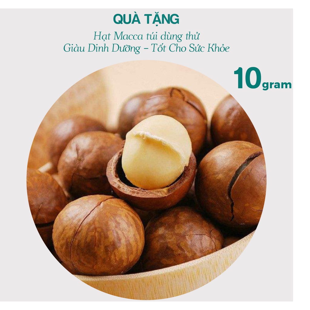 Hạt macca nứt vỏ mắc ca Đăk Lăk sấy lạnh quả dễ tách giá tận xưởng giàu dinh dưỡng hộp 500g từ Nông Sản Giọt Nắng Hà Nội