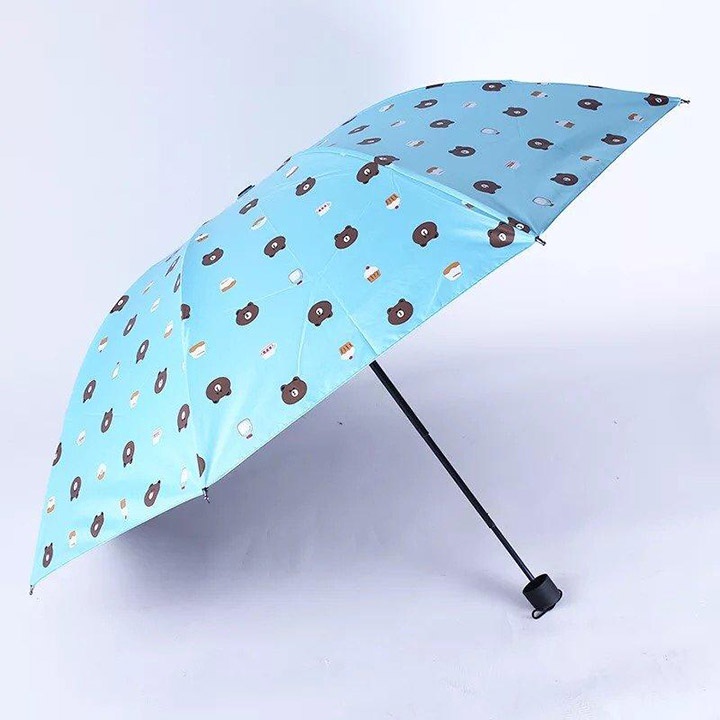Ô - DÙ GẤP GỌN HÌNH GẤU BROWN