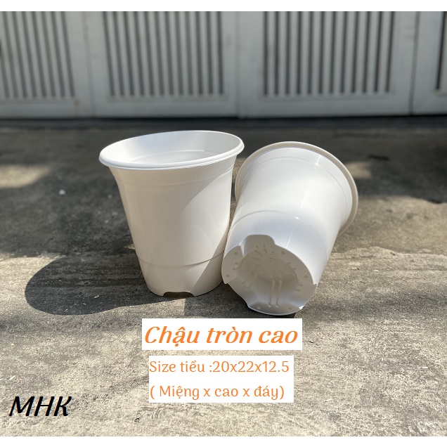 [MỚI] Chậu tròn cao size Tiểu (20x22x12.5) nhựa cứng !