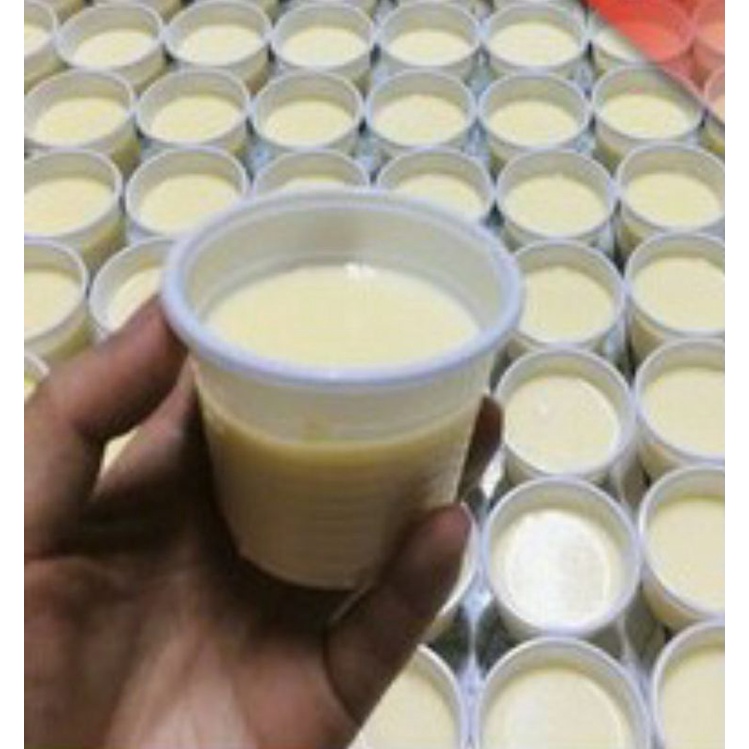 SỮA CHUA PHO MAI ĐÀ LẠT COMBO 10HỦ GIÁ 85K.