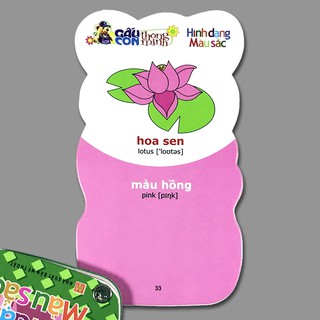 Gấu Con Thông Minh - Hình Dạng, Màu Sắc
