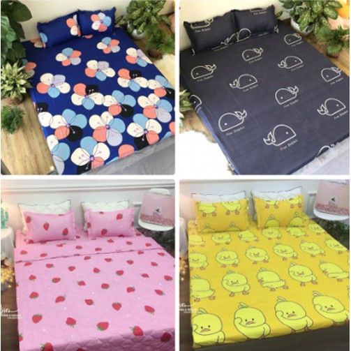 Rẻ nhất Bộ ga gối cotton poly 1m6x2m hcm 6M019