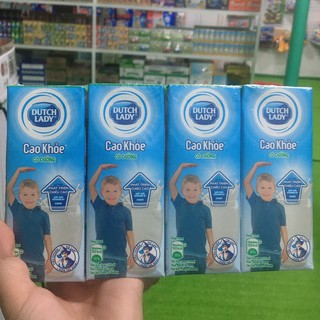 Sữa Hà Lan Cao Khỏe Lốc 4 Hộp 110Ml/170Ml