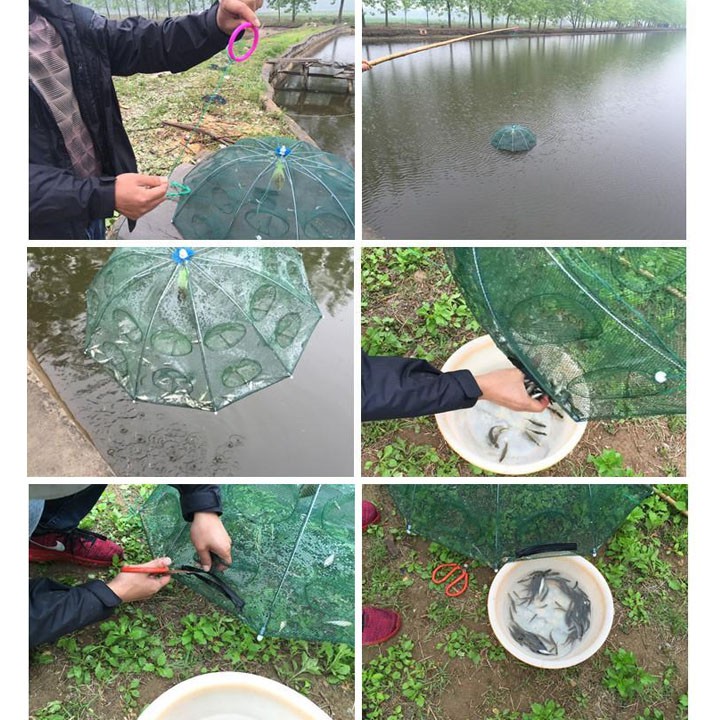 Lưới bát quái bắt TÔM CUA CÁ lợi hại