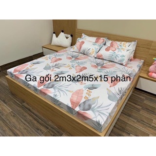 Combo 4 bộ ga goi