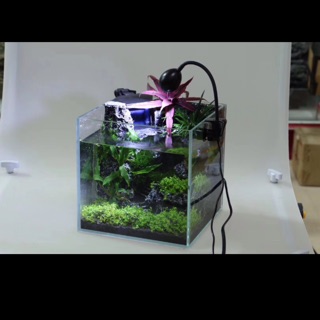 Đèn led roi mini bể 20-30