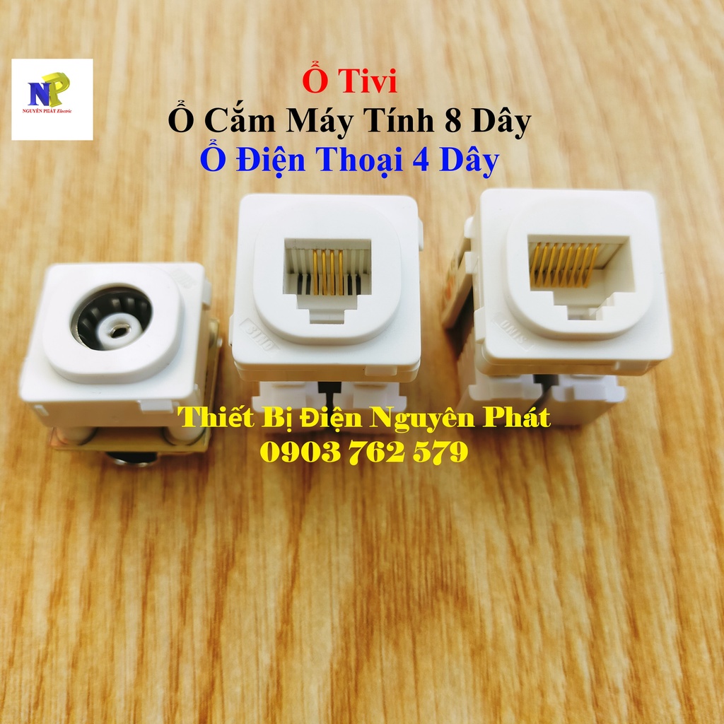 [SINO] Ổ Tivi , Ổ Cắm Máy Tính 8 Dây , Ổ Điện Thoại 4 Dây