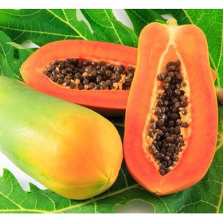 HẠT GIỐNG ĐU ĐỦ RUỘT ĐỎ- 10 HẠT(CHẤT LƯỢNG CHUẨN TỪ FARM)