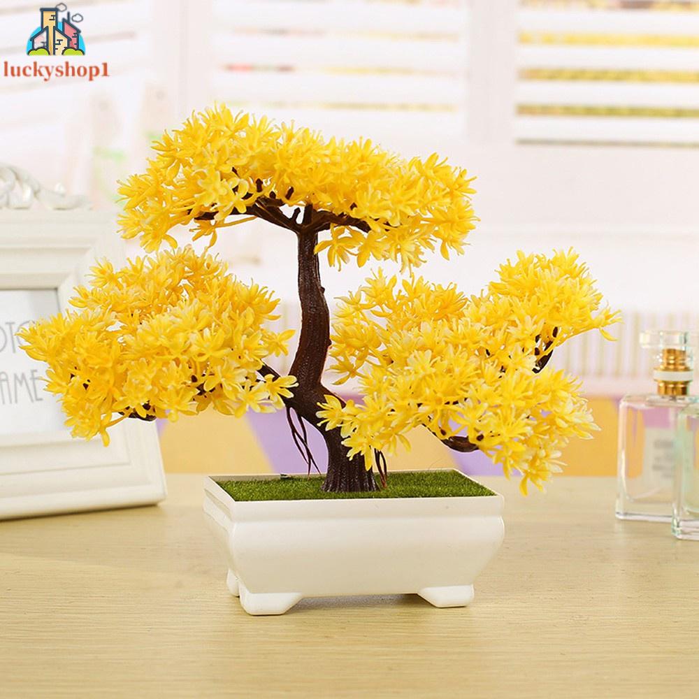 Chậu Cây Thông Giả Bằng Nhựa Để Bàn Trang Trí Nhà Cửa #An#44635#D526c5