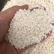 Gạo Nếp Cái Hoa Vàng trồng 6 tháng 1kg