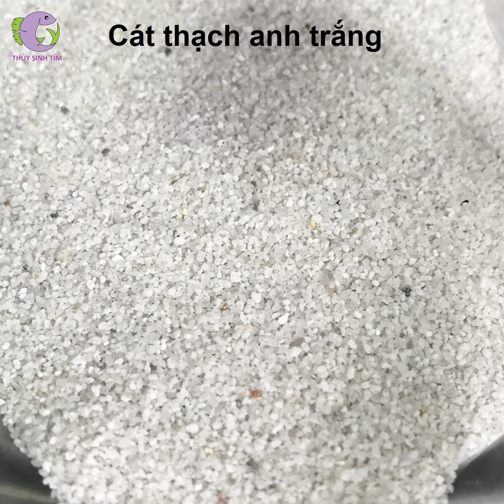 Cát Thạch Anh Trắng (1kg) - Trải Nền Trang Trí Bể Cá, Bể Thủy Sinh