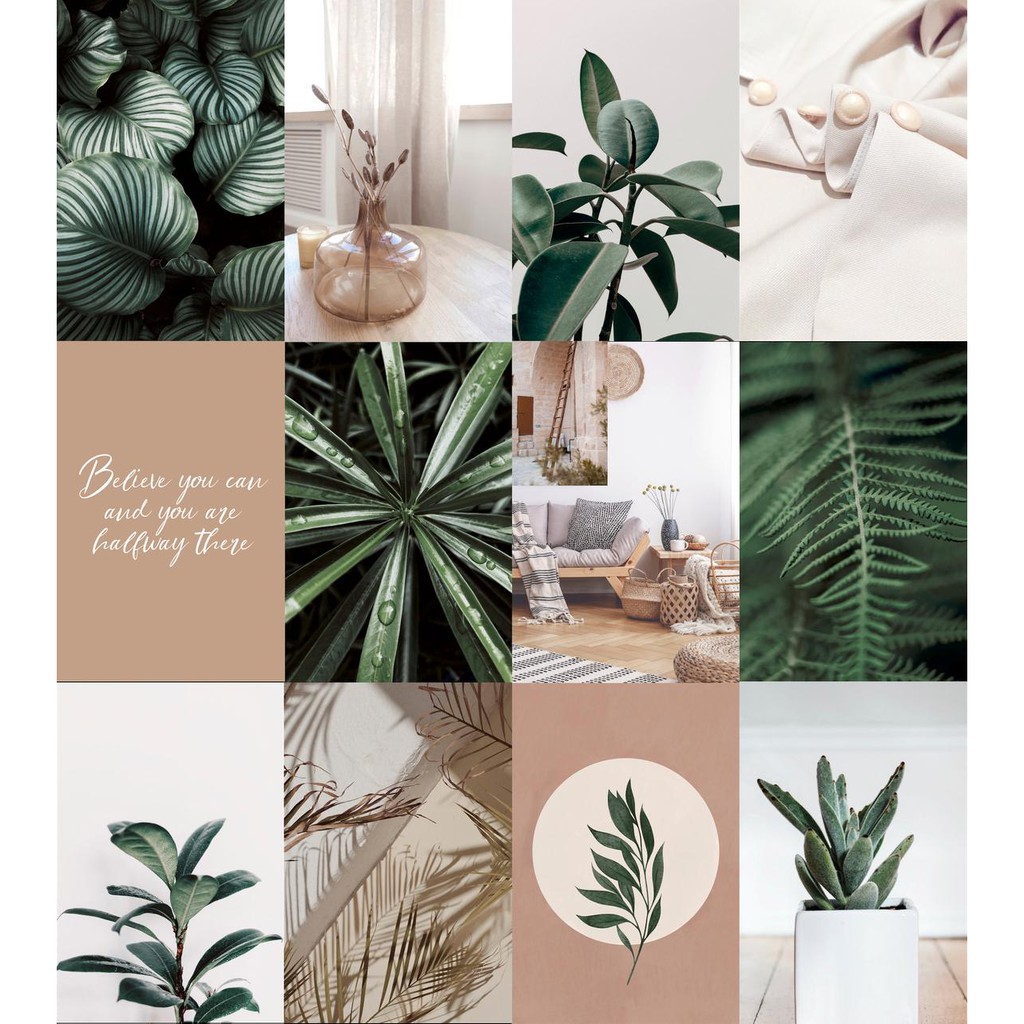 [FREESHIP EXTRA] Wall Collage dán tường trang trí decor phòng ngủ - theme Botanico BOHO