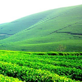 HONEY NATURE, Cửa hàng trực tuyến | BigBuy360 - bigbuy360.vn