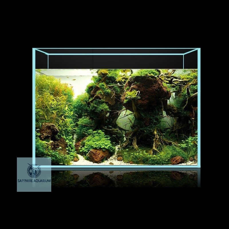 Bể cá cảnh cubic kính siêu trong