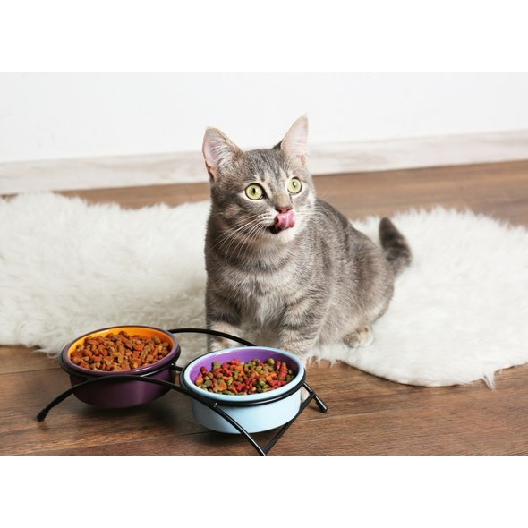 Thức ăn hạt cho mèo trưởng thành Whiskas gói 1,2kg - Thức ăn cho mèo Whiskas Adult - Zimpet