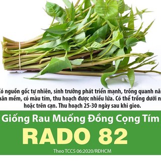 Hạt Giống Rau Muống Đồng Cọng Tím Rado 82 Gói 10g, Nảy Mầm Tốt