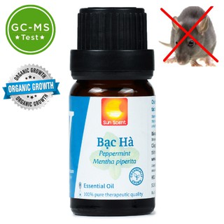 Tinh dầu BẠC HÀ nguyên chất 100%
