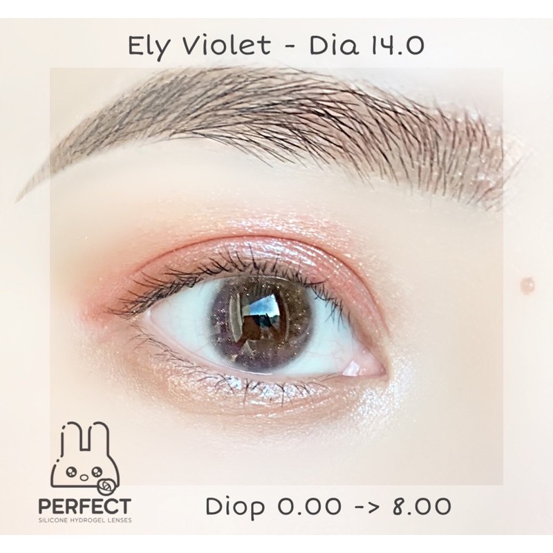 LINK 2 (GIÁ 1 CHIẾC) 14.0 (0.00->8.00) Lens Ely Violet - Kính Áp Tròng