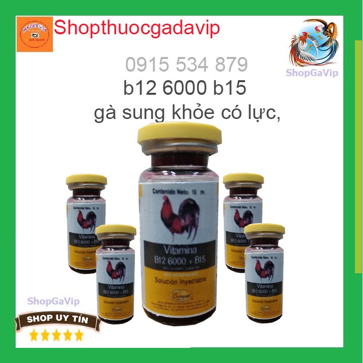 b12 6000 b15 gà đỏ khỏe, tăng cường sức mạnh dẻo dai