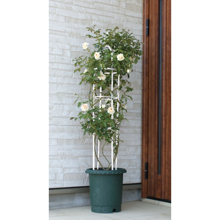 Tháp Chuông - Khung giá đỡ hoa hồng - Khung trồng cây hoa leo