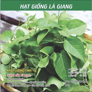 Hạt Giống Lá Giang