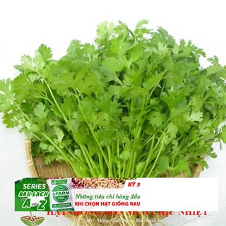 Gói 50 Hạt Giống Rau Mùi - Ngò Ta ĐẾN MÙA TRỒNG TẾT