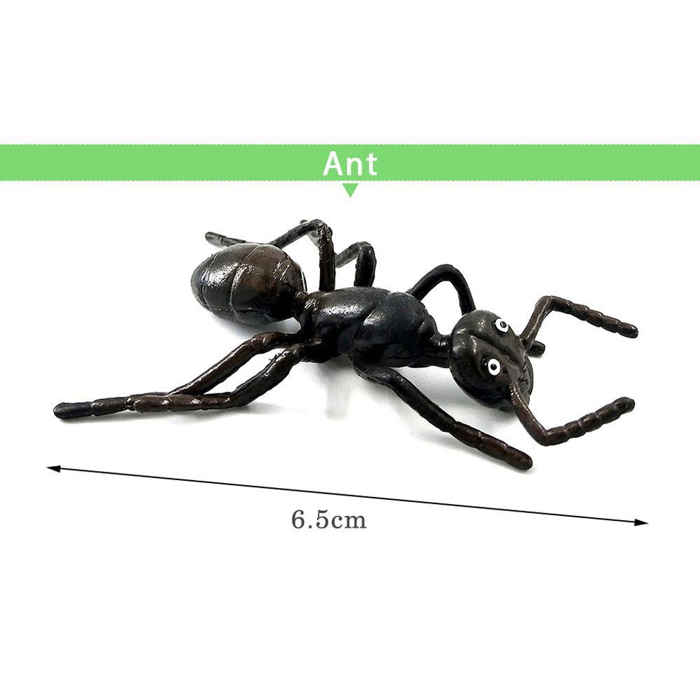 Mô Hình Côn Trùng / Ngựa / Khủng Long Đồ Chơi Giáo Dục Cho Bé