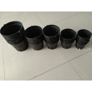 Chậu nhựa trồng lan hàng mới, dày đẹp (compo 5 cái)