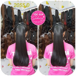 Tóc Giả Cột Đuôi Thẳng Cúp Dài 50cm ❤️ Free Ship ❤️ Tóc cao cấp chịu nhiệt- video & hình thật