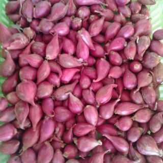 Hành tím Ninh Thuận 500gr