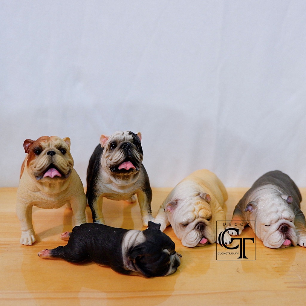 Mô hình các loài chó | Corgi - Bulldog Anh - Rottweiler - Shiba- Golden - Bully- Golden