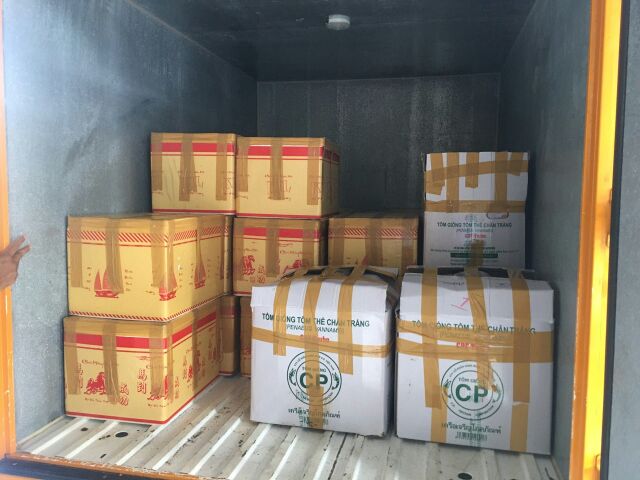 PHỒNG TÔM NĂM CĂN CÀ MAU.HỘP 500 gr PHÂN PHỐI SỈ LẺ HÀNG SẴN CÓ TẠI HÀ NỘI SỐ LƯỢNG LỚN.