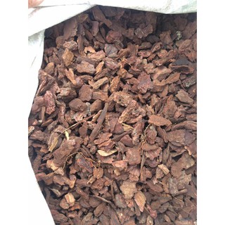 Vỏ thông trồng phong lan size 1-2 cm