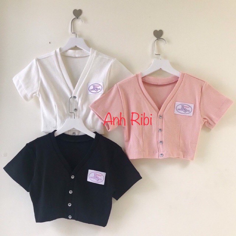 Áo Croptop NQ30_store Tay Ngắn Dáng Ôm Gân Bo Thêu BS Cho Nữ Ullzang