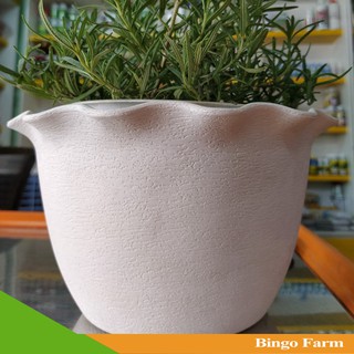 Chậu ốp tường chậu áp tường bèo 2T3 Trắng