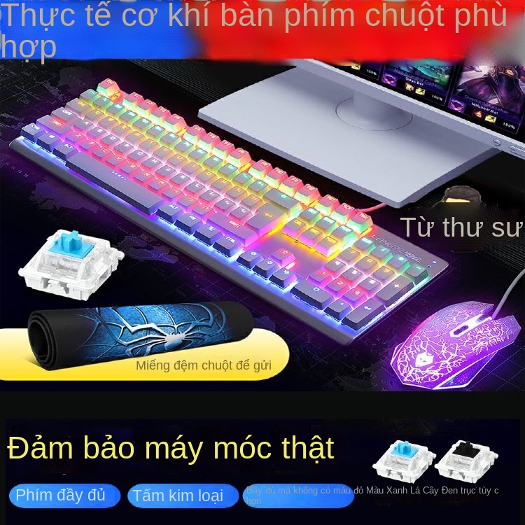 Bàn phím cơ, chuột và tai nghe chơi game ba mảnh đặc biệt của Logitech Razer Bộ bàn phím và chuột dành cho máy tính