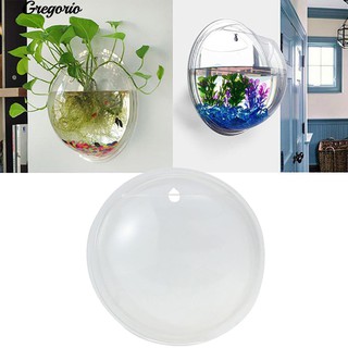 Chậu Cây Cảnh Treo Tường