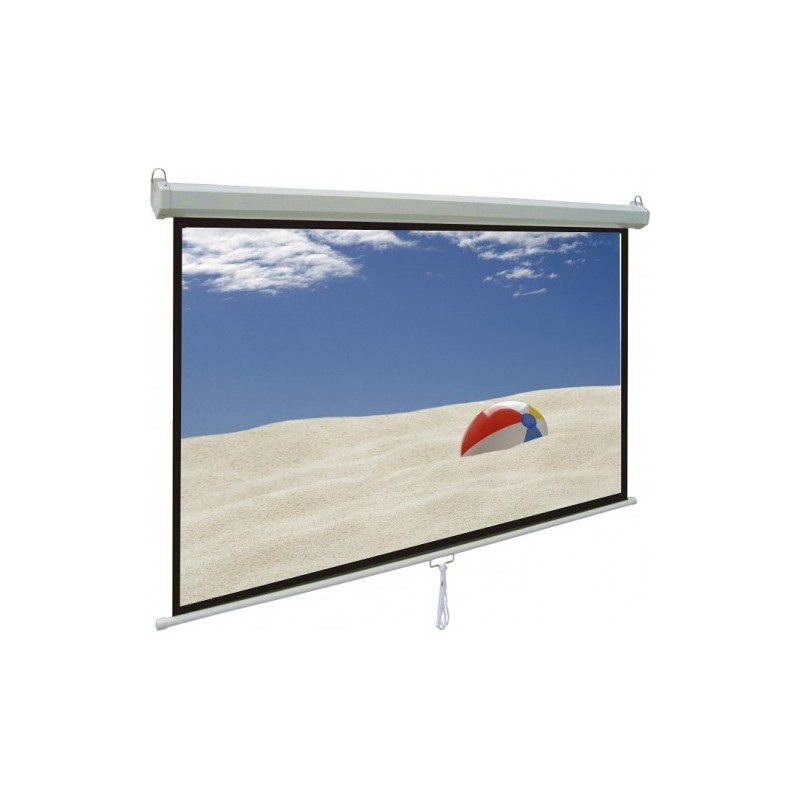 Màn Chiếu Treo Tường 170 INCH DALITE Tự Cuốn- Mã PL170WS