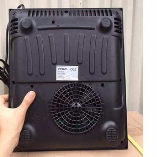 Bếp từ Goldsun GI-M11