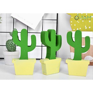 Chậu hoa nhỏ để bàn xương rồng gỗ W-CHĐB-101 TAN