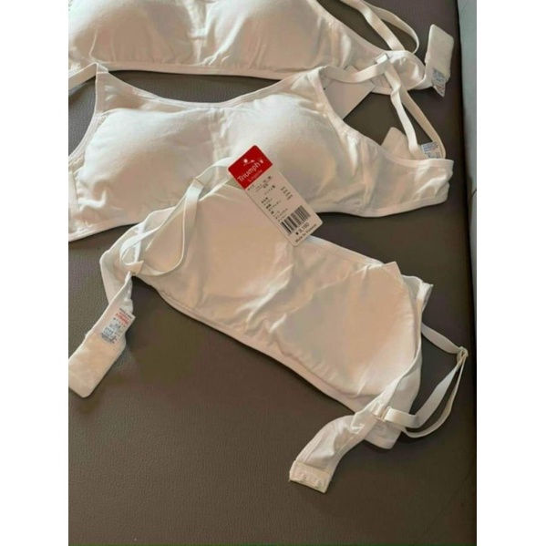 Áo Lá Triumph Học Sinh Dáng Cài và Dáng Chui