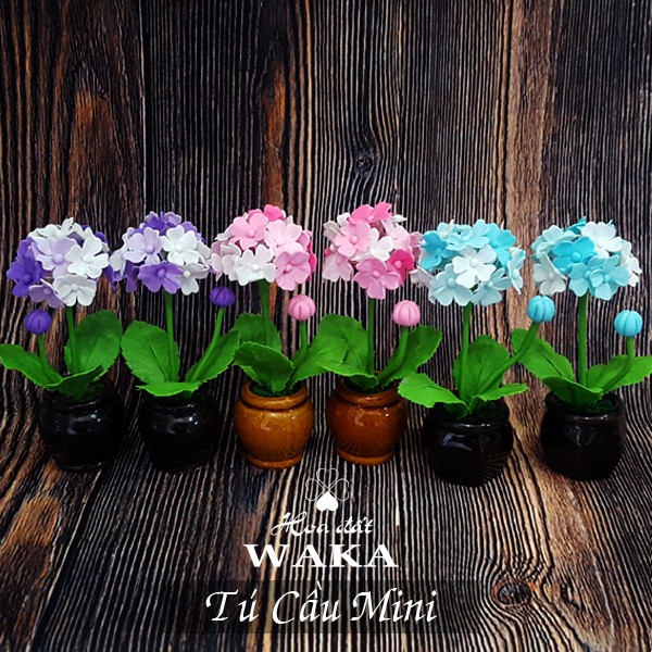 Hoa Đất Sét Mini- Tú Cầu