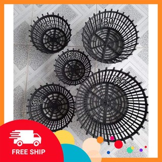 [Free Ship] 10 Chậu trồng lan phi 20cm có lan phụ Tặng Kèm Phân Bón