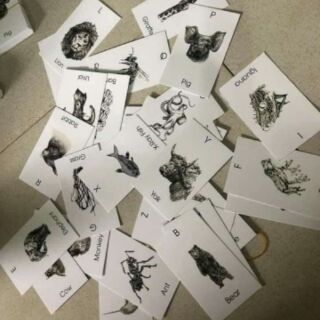 Bộ thẻ học FLASHCARD ANIMAL 4D+
