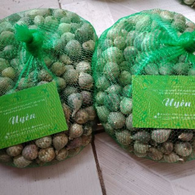 2kg tỏi cô đơn số 3